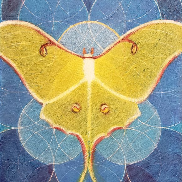 Meet your Posher, Lisa - Picture 2 of 3